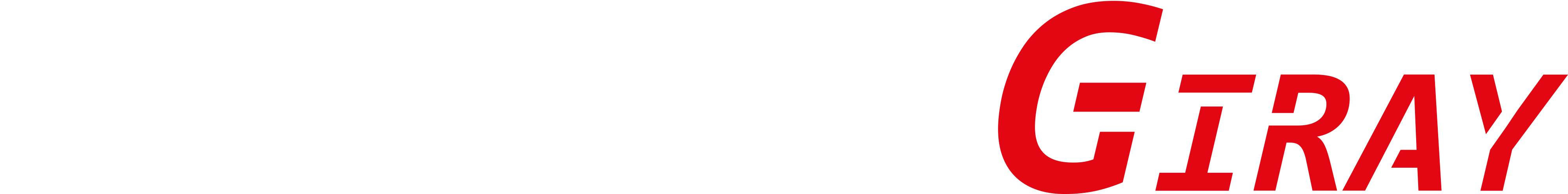 Garage Giray Logo weiss